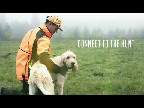 Garmin Alpha LTE Vorstellung