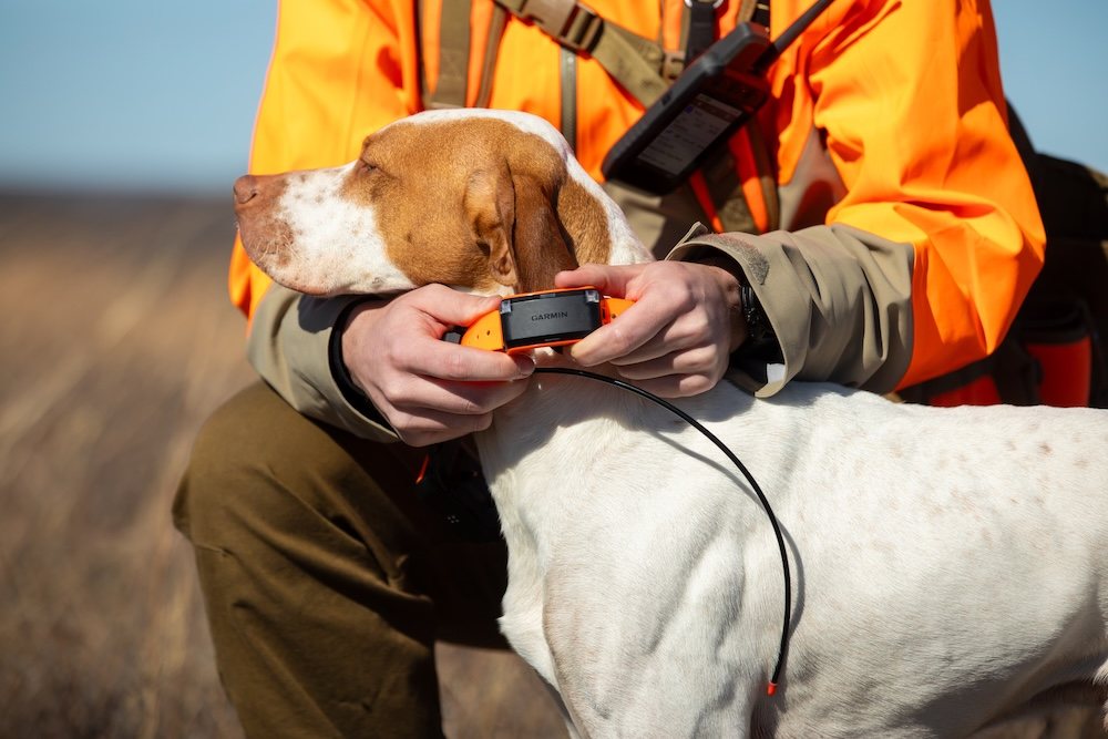 Garmin Alpha LTE Hundeortungssystem – robustes GPS- und LTE-Trackinggerät für Jagd- und Suchhunde, kompatibel mit Alpha 10, 200i, K5X und T20 – erhältlich bei BEST4JAGD.com