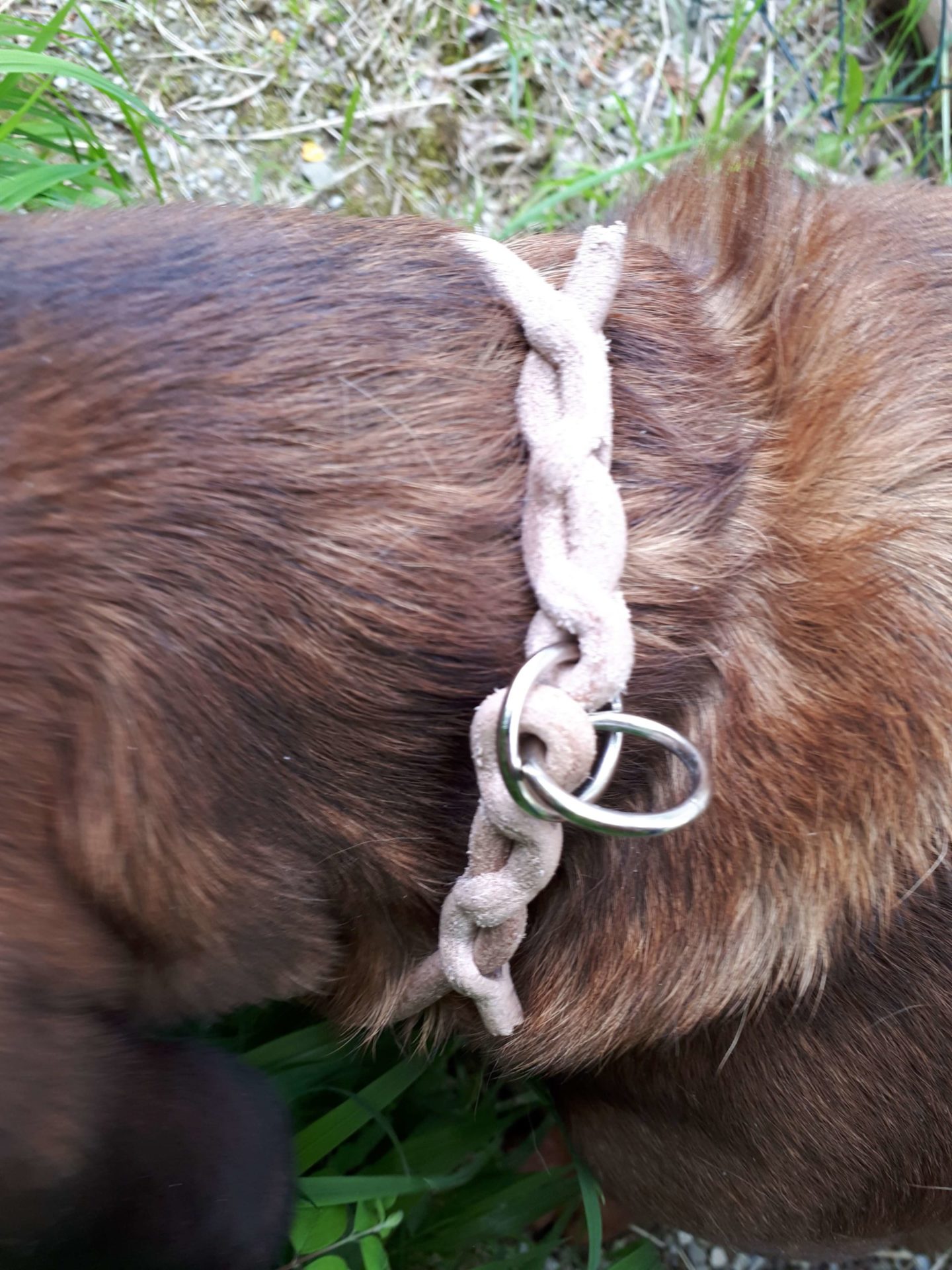 Lederhalsung ultra-leicht – Bild 4