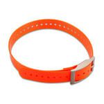2,5CM-Nylon-Halsband / Riemenschnalle Orange/Silber